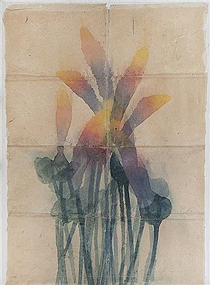 Lanterne e lucciole 1984