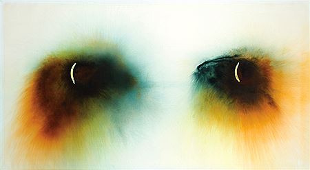 No title (Eyes)