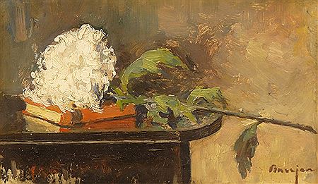 A Flower and a Book