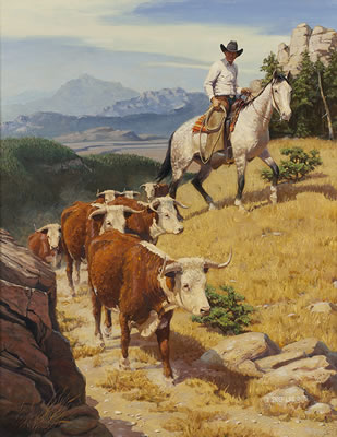 To the High Country