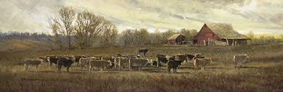 Cattle Ranch