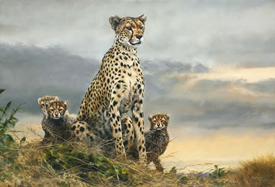 Family of Cheetahs