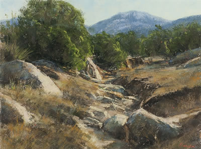 Montana Gully