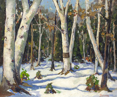Winter Birches