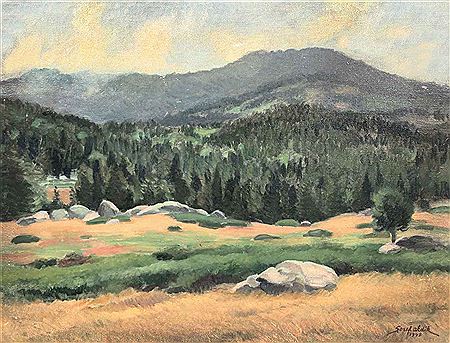 Forest by Seref Akdik - Auction record, sale price, and art valuation. Compare with similar artists and explore comparable artworks.