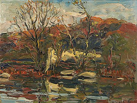 Bord d'étang en automne