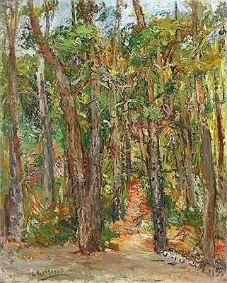 Forest Cassis