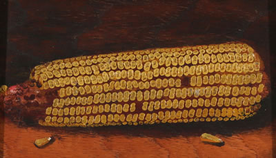 Still life of an ear of corn