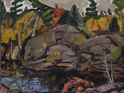 Rocks and Pool Georgian Bay