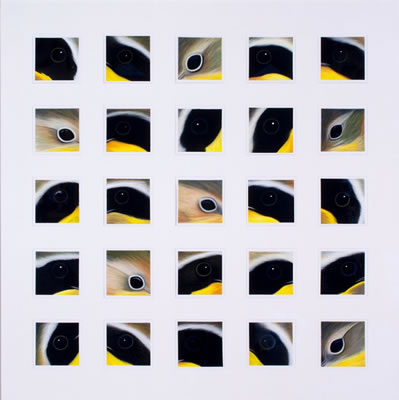Sample artwork by Paul Plante (Born 1943), known for painting - View similar artists and auction records