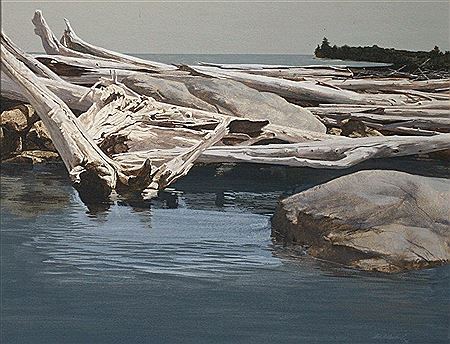 Landscape, driftwood at waters edge by Del Nichols - Auction record, sale price, and art valuation. Compare with similar artists and explore comparable artworks.