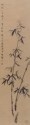 Bamboos