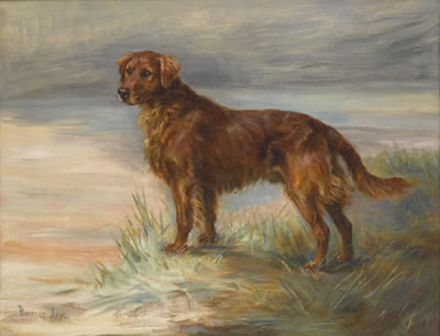 Sample artwork by Florence Jay (active 1905-1920), known for animal paintings - View similar artists and auction records