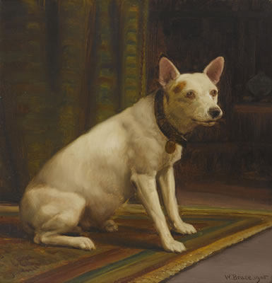 Seated White Terrier