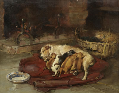 Contentment