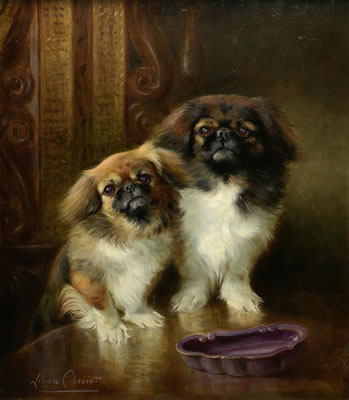 Toto and Togo