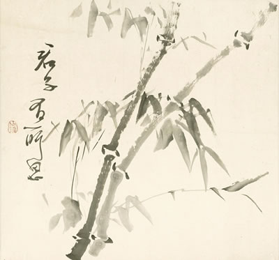 Bamboo and calligraphy