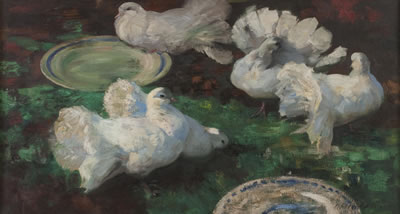 Fantail pigeons