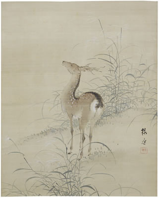 Deer and Grasses