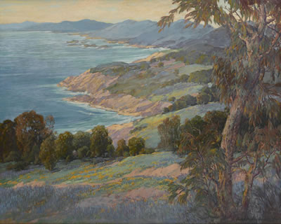 Laguna Coast in bloom