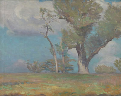 Windy oaks