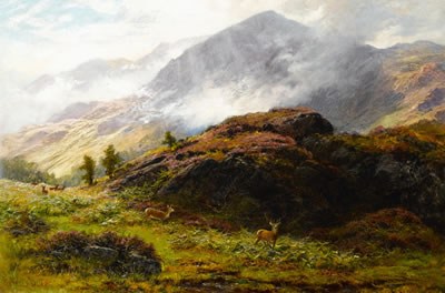 Deer in the Scottish Highlands