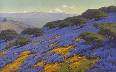 Poppies and lupine, Santa Barbara