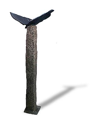 Bird in flight