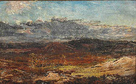 Moor landscape