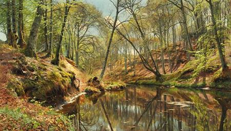 A spring day in the forest at Sæby Å (stream).