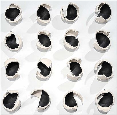 "Sixteen Ways of Looking at a Blackbird"