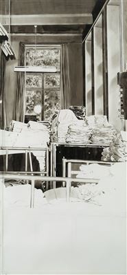 Amanda Kristina. Pedersen’s Physionomical Inquiries #5