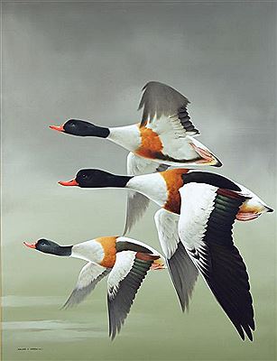 Sample artwork by Raymond C Watson (1935 - 1994), known for wild bird paintings - View similar artists and auction records