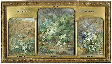 The History of a Primrose - Infancy, Maturity, Decay (tryptych) by William Hull - Auction record, sale price, and art valuation. Compare with similar artists and explore comparable artworks.