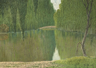 El manso del Rio Santa Lucia