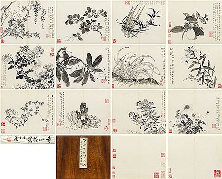 FRUITS AND FLORA