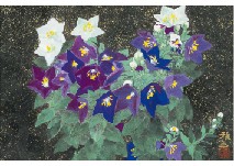 Chinese bellflower
