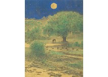 Moon Light
