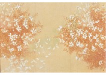 Wind Flower