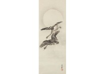Wild Goose under Moon