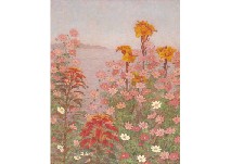 Wild flowers in autumn