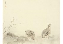 Quail in autumn grass