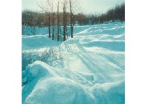 Sample artwork by Takumi Mihara, known for painting - View similar artists and auction records