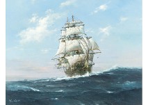 Ocean Brave