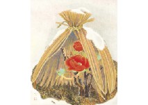 Peony