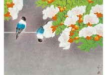 Flower shadow by Masami Iwata - Auction record, sale price, and art valuation. Compare with similar artists and explore comparable artworks.