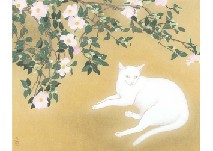 Camellias and White cat
