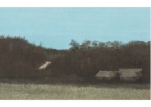 Field