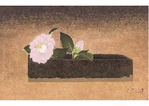 Camellias