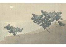 Moon night
